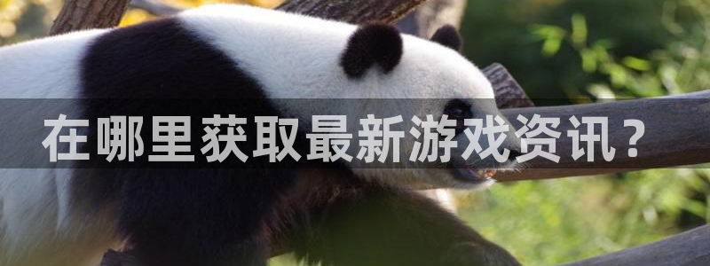 杜邦娱乐网址官网