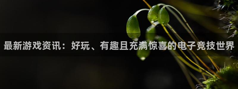 杜邦娱乐怎么注册：最新游戏资讯：好玩、有趣且充满惊喜的电子竞