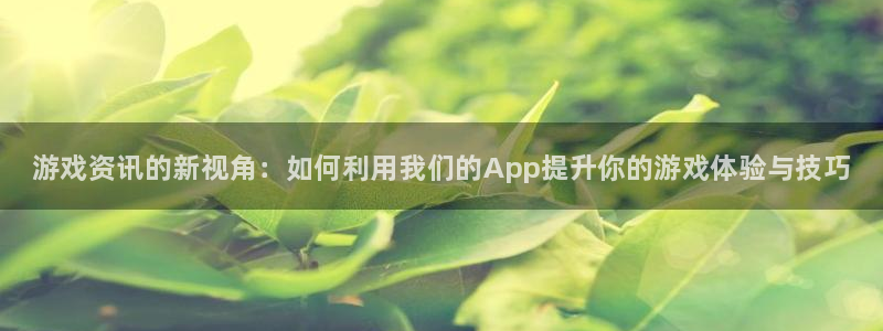 杜邦娱乐主管：游戏资讯的新视角：如何利用我们的App提升你的