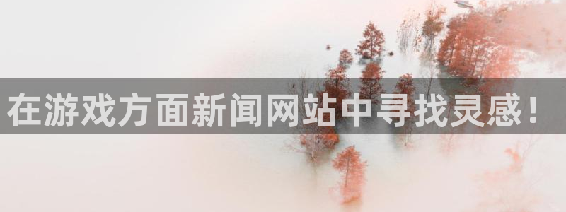 杜邦娱乐平台负责人：在游戏方面新闻网站中寻找灵感！