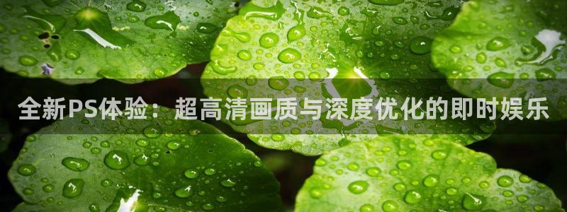杜邦娱乐平台官网客服电话：全新PS体验：超高清画质与深度优化