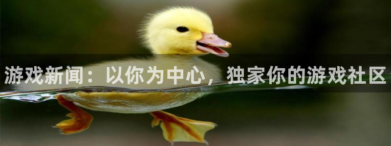 杜邦娱乐咨询