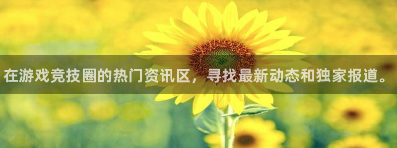 杜邦娱乐官网登录：在游戏竞技圈的热门资讯区，寻找最新动态和独