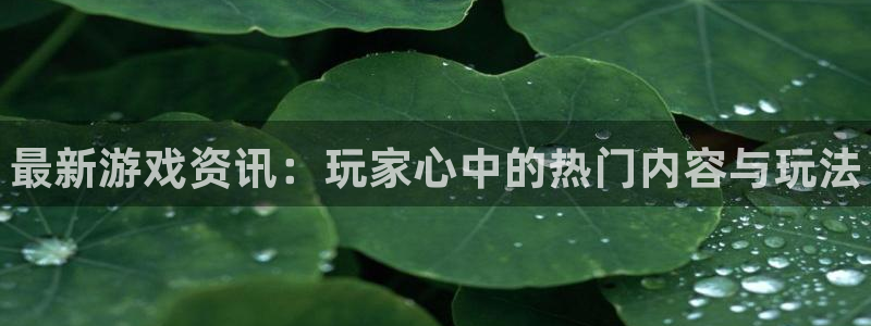 杜邦娱乐平台登陆