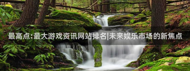 杜邦娱乐登录地址：最高点:最大游戏资讯网站排名|未来娱乐市场