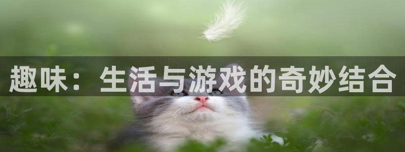 杜邦娱乐平台官网入口